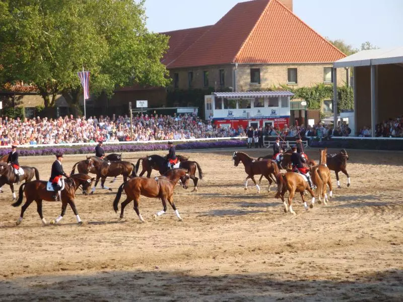 Warendorf (c) Hans-Jürgen Lenk
